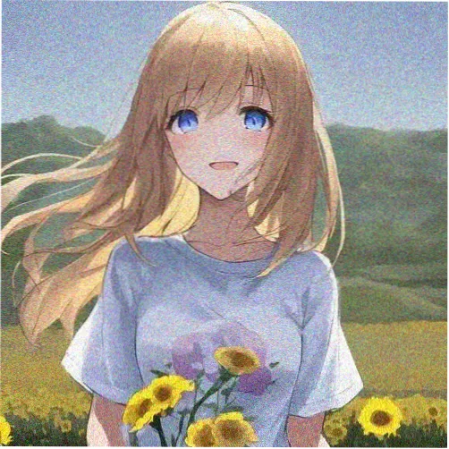 蓝狐用户
